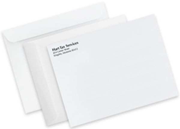 10" x 13" Mailing Envelope || Custom Envelopes || Spot Color